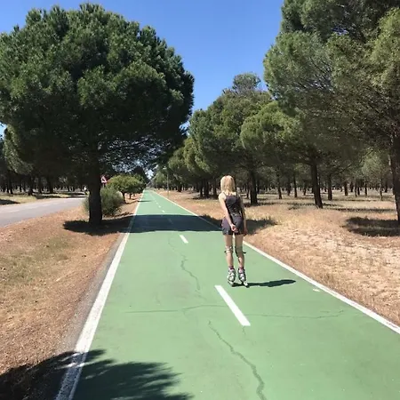 Tierra De Pinares